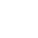 e55 icon