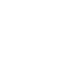 e55 icon