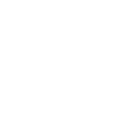 e55 icon