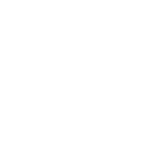 e55 icon