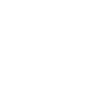 e55 icon