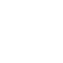 e55 icon